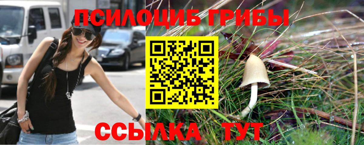 Псилоцибиновые грибы мицелий Кинешма