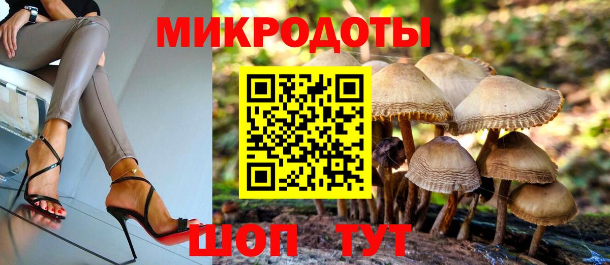 Псилоцибиновые грибы мухоморы  Псилоцибиновые грибы MAGIC MUSHROOMS  купить наркотики цена  Кинешма  Вход с VPN 